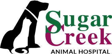 Home - Sugar Creek Animal Hospital